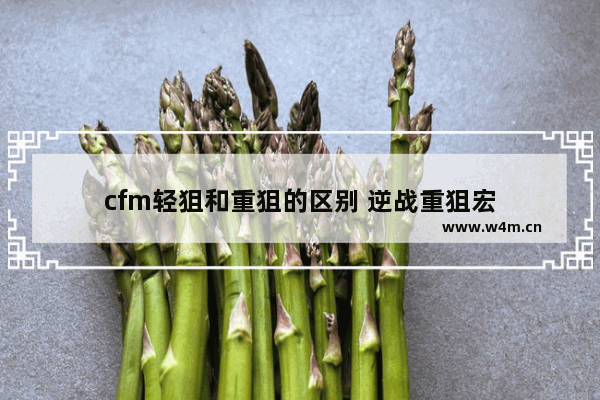 cfm轻狙和重狙的区别 逆战重狙宏