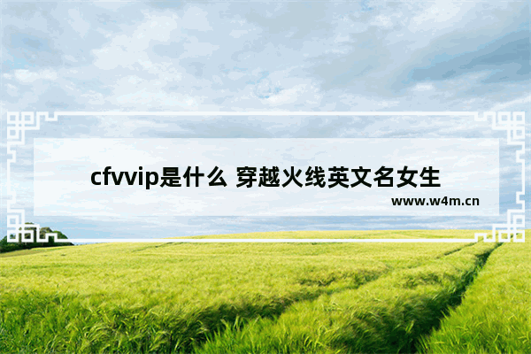 cfvvip是什么 穿越火线英文名女生