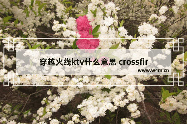 穿越火线ktv什么意思 crossfire穿越火线