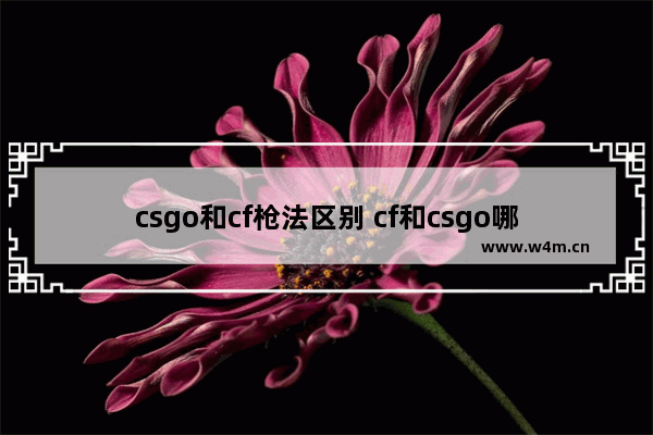 csgo和cf枪法区别 cf和csgo哪个好玩 为什么