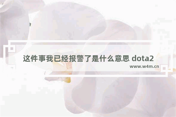 这件事我已经报警了是什么意思 dota2 绿帽