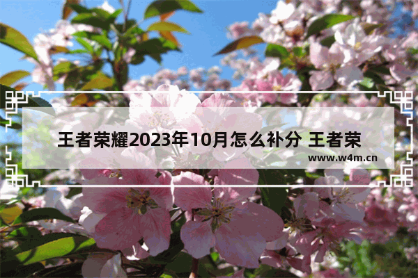 王者荣耀2023年10月怎么补分 王者荣耀如何查看全部的历史战绩