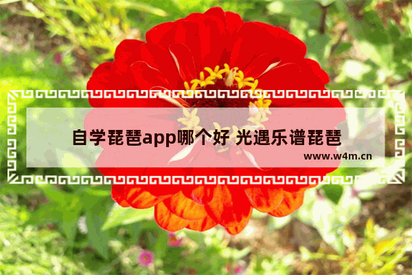 自学琵琶app哪个好 光遇乐谱琵琶