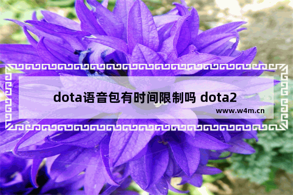 dota语音包有时间限制吗 dota2 g胖