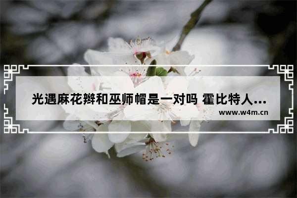 光遇麻花辫和巫师帽是一对吗 霍比特人游侠是谁