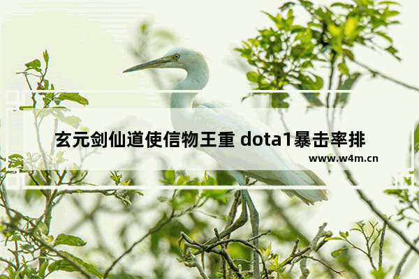 玄元剑仙道使信物王重 dota1暴击率排行