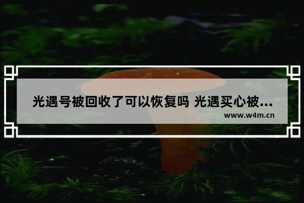 光遇号被回收了可以恢复吗 光遇买心被回收怎么办