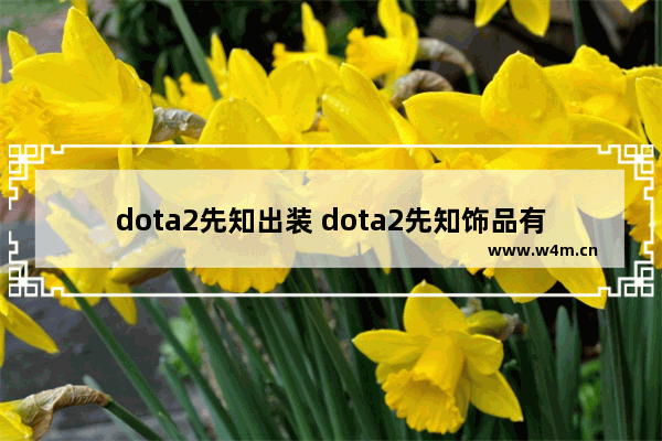 dota2先知出装 dota2先知饰品有幻影是怎么回事