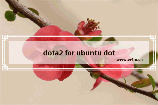 dota2 for ubuntu dota2 for ubuntu