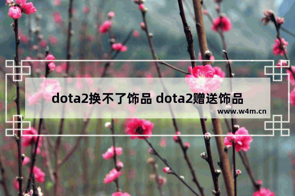 dota2换不了饰品 dota2赠送饰品