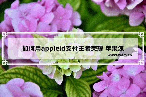 如何用appleid支付王者荣耀 苹果怎么充值王者荣耀