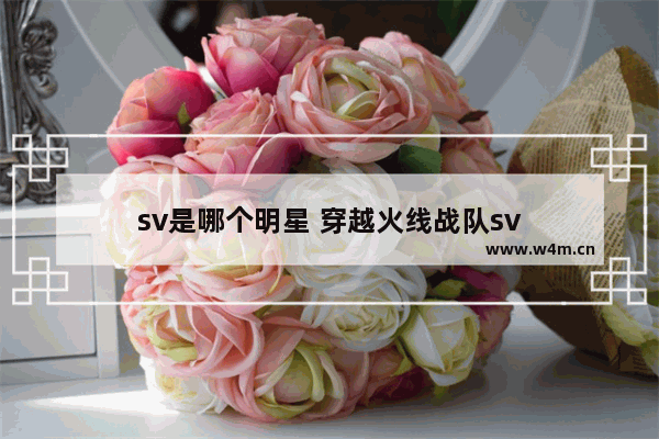 sv是哪个明星 穿越火线战队sv