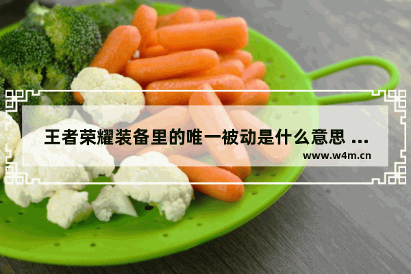 王者荣耀装备里的唯一被动是什么意思 王者荣耀哪些被动效果可以叠加