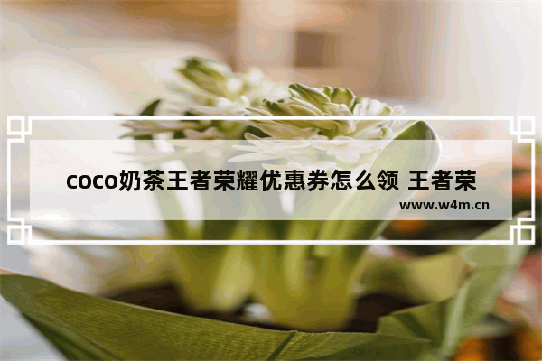 coco奶茶王者荣耀优惠券怎么领 王者荣耀柠檬