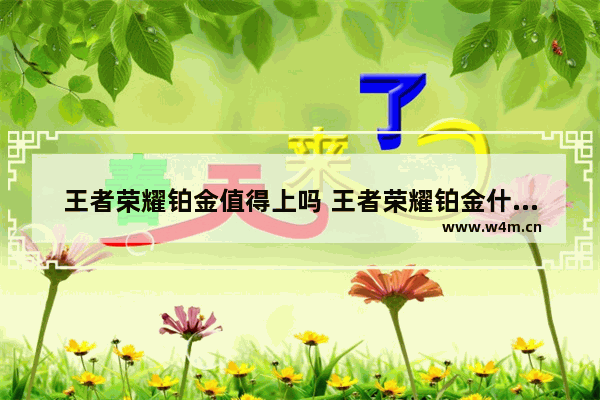 王者荣耀铂金值得上吗 王者荣耀铂金什么水平