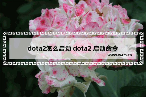 dota2怎么启动 dota2 启动命令