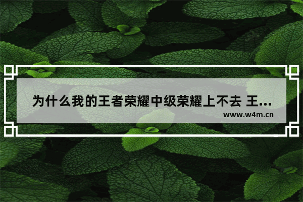 为什么我的王者荣耀中级荣耀上不去 王者荣耀中级荣耀怎么获得