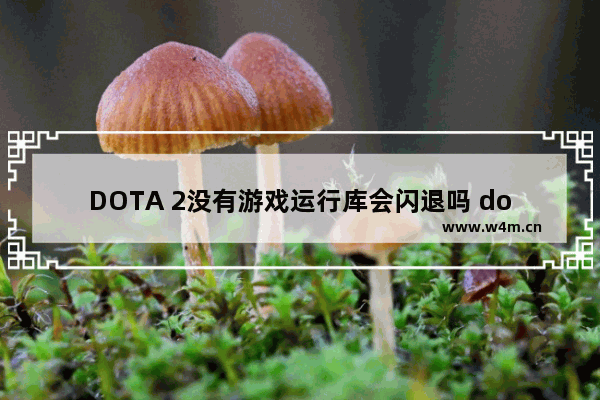 DOTA 2没有游戏运行库会闪退吗 dota2退出steam