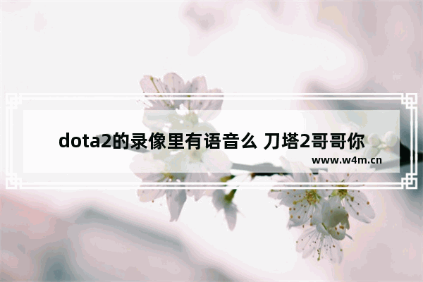 dota2的录像里有语音么 刀塔2哥哥你这么菜语音怎么弄