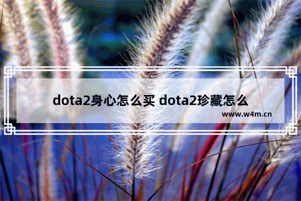 dota2身心怎么买 dota2珍藏怎么买