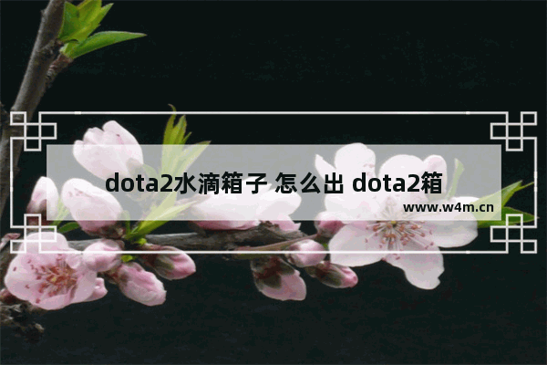 dota2水滴箱子 怎么出 dota2箱子预览功能怎么关