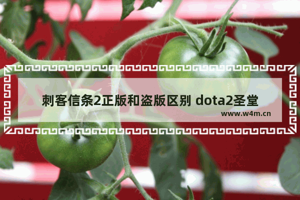 刺客信条2正版和盗版区别 dota2圣堂壁纸