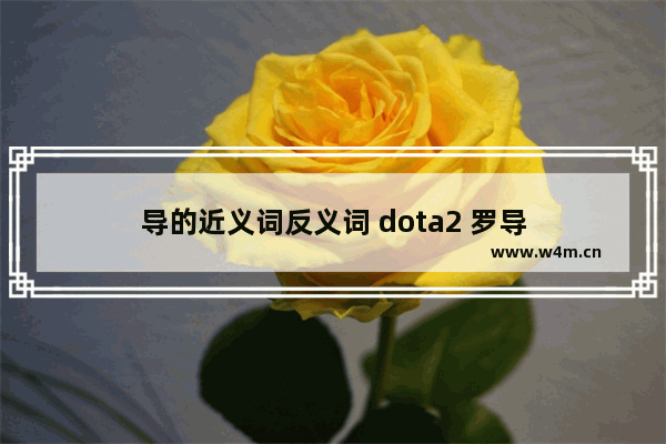 导的近义词反义词 dota2 罗导