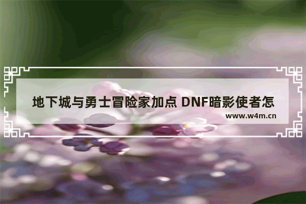 地下城与勇士冒险家加点 DNF暗影使者怎么加点 求专业