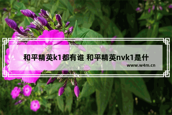 和平精英k1都有谁 和平精英nvk1是什么战队