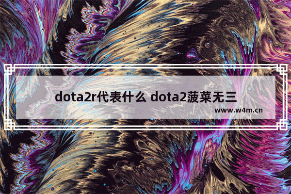 dota2r代表什么 dota2菠菜无三宝什么啥意思