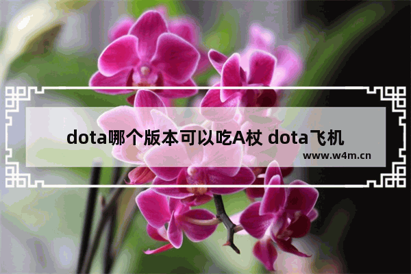 dota哪个版本可以吃A杖 dota飞机a杖有什么用