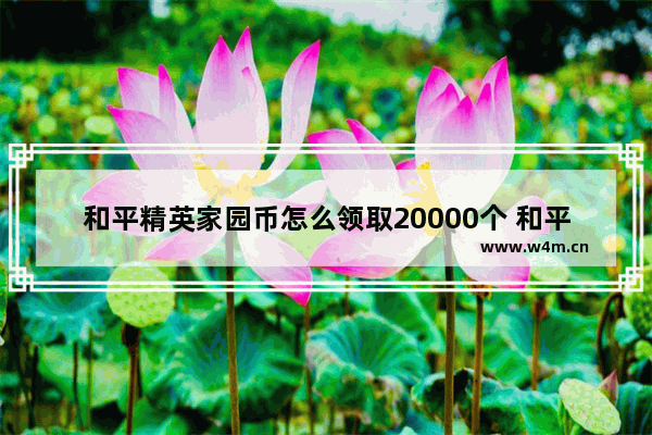 和平精英家园币怎么领取20000个 和平精英领大礼包