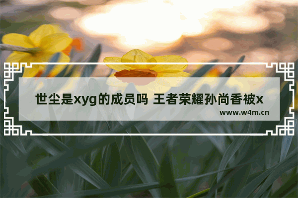 世尘是xyg的成员吗 王者荣耀孙尚香被x