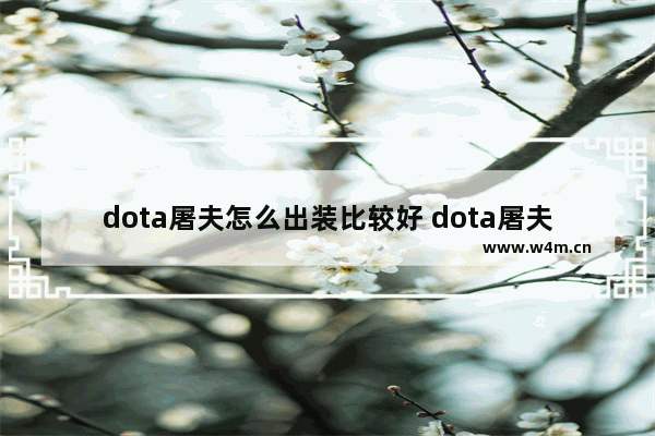 dota屠夫怎么出装比较好 dota屠夫怎样出装