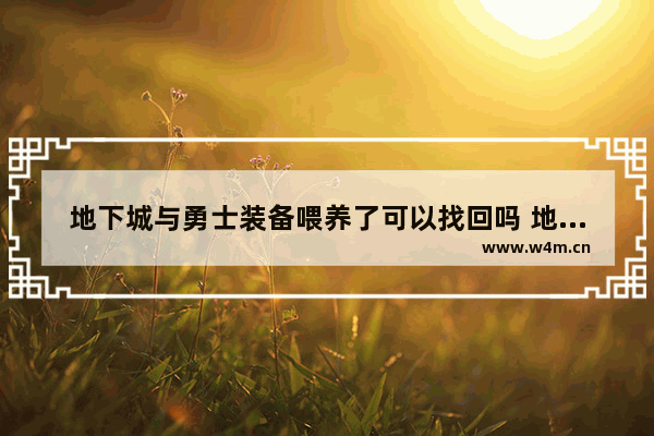 地下城与勇士装备喂养了可以找回吗 地下城与勇士举报中心