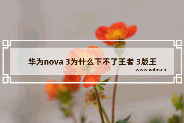 华为nova 3为什么下不了王者 3版王者荣耀