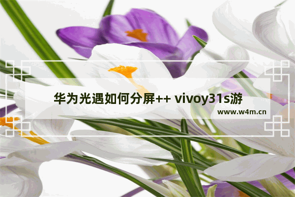 华为光遇如何分屏++ vivoy31s游戏怎么分屏玩光遇