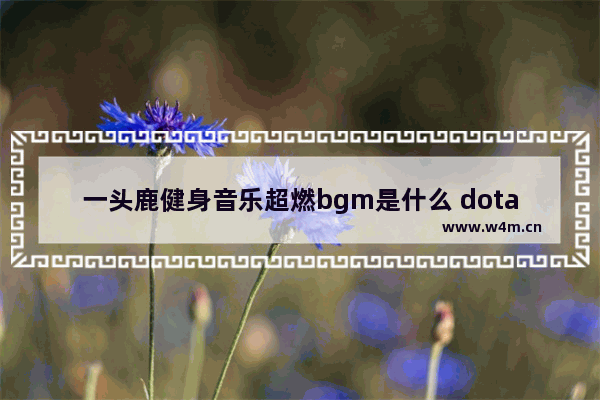 一头鹿健身音乐超燃bgm是什么 dota2小鹿的配音