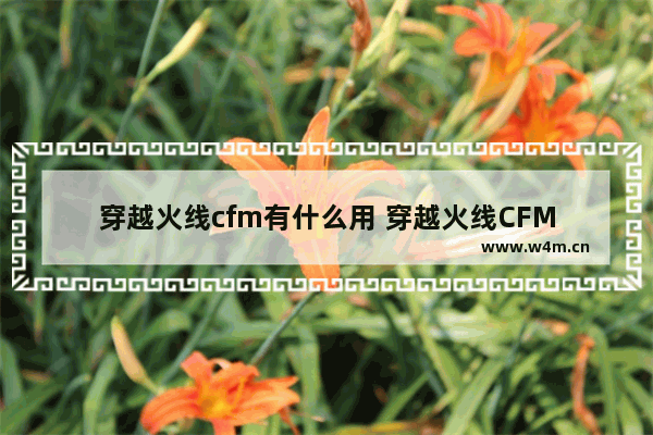 穿越火线cfm有什么用 穿越火线CFM