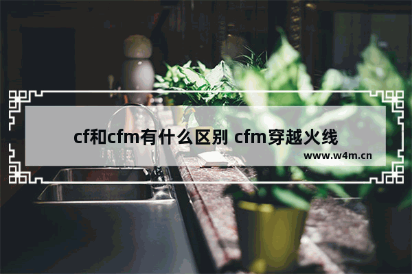 cf和cfm有什么区别 cfm穿越火线