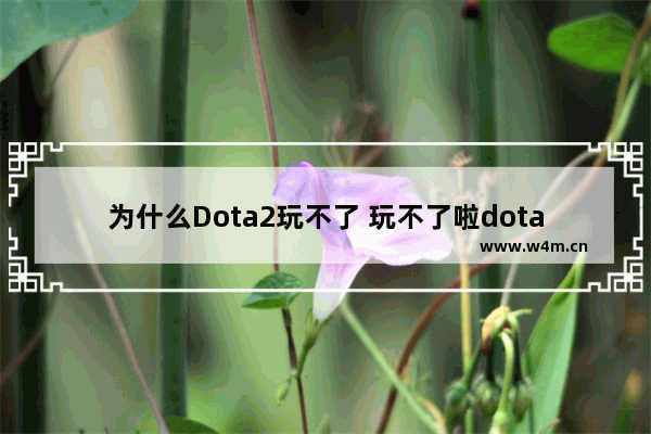 为什么Dota2玩不了 玩不了啦dota2