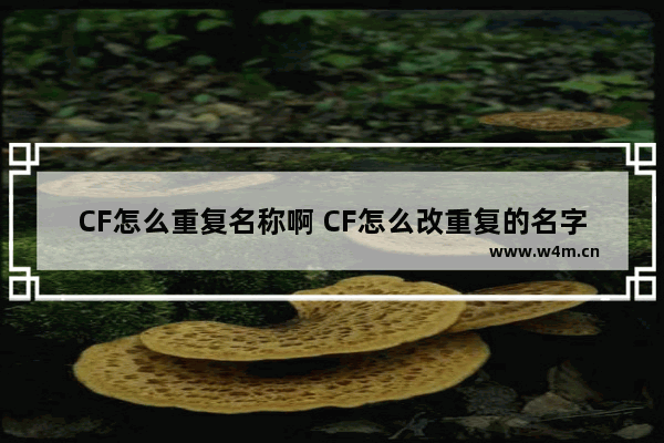 CF怎么重复名称啊 CF怎么改重复的名字