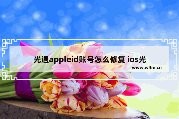 光遇appleid账号怎么修复 ios光遇怎么注销光遇