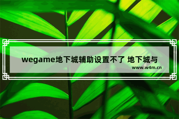 wegame地下城辅助设置不了 地下城与勇士用手机怎么解除安全模式