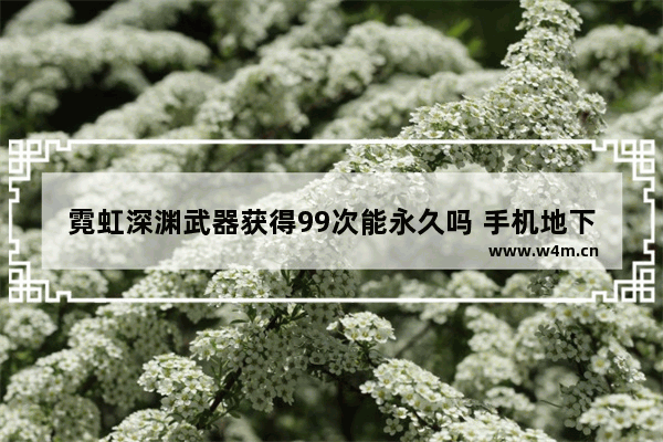 霓虹深渊武器获得99次能永久吗 手机地下城与勇士永久武器