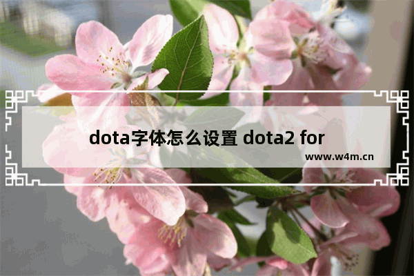 dota字体怎么设置 dota2 for mac字体