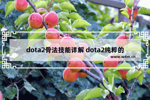 dota2骨法技能详解 dota2纯粹的魔力