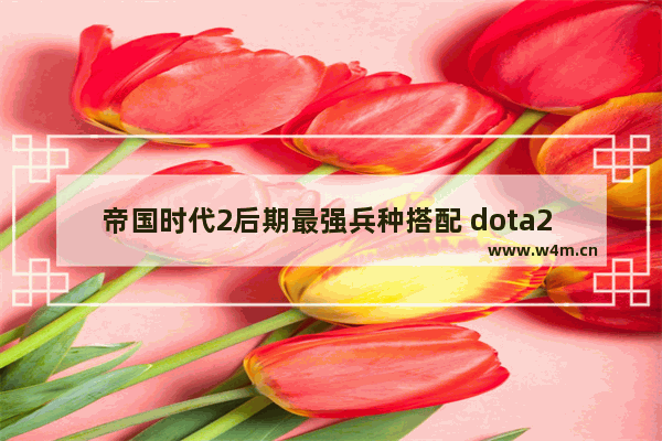 帝国时代2后期最强兵种搭配 dota2 后期怎么打