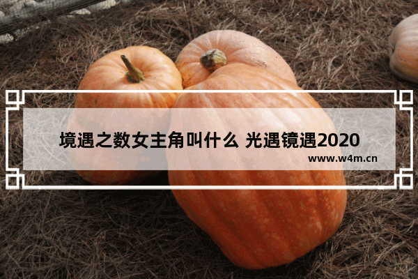 境遇之数女主角叫什么 光遇镜遇2020