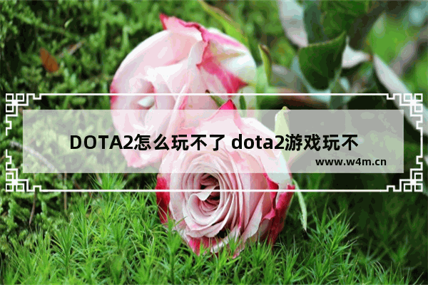 DOTA2怎么玩不了 dota2游戏玩不了游戏